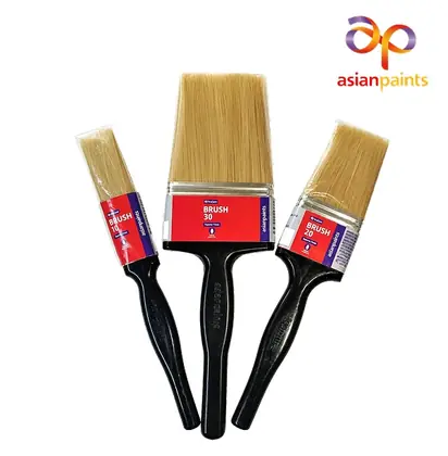 Asian Paints TruCare Brush