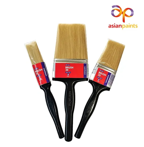 Asian Paints TruCare Brush